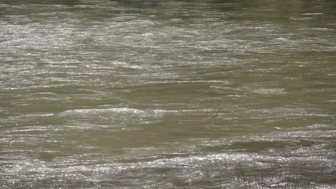 River water flow spring flood Stock Footage 75791969
