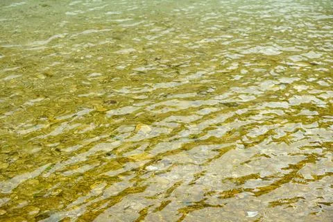 River Water Flow with Sunlight Reflections on the Surface Stock Photos