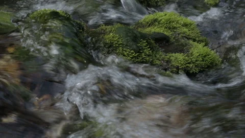 River water flow through rocks and musk Stock Footage 146066604