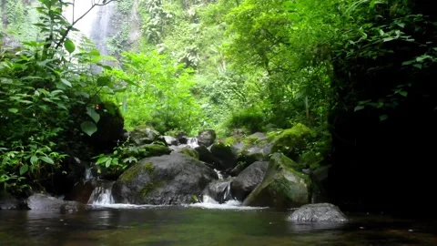 River Water Flow in Tropical Forest. Sukabumi, Indonesia Stock Footage 245961182