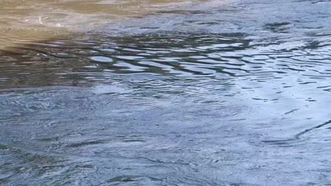 River water flow - Yellow River - river water surface 스톡 동영상 258110944