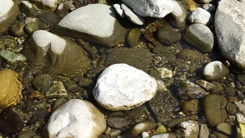 River water flowing among white stones closeup, 4K 스톡 동영상 76109116