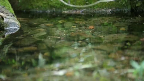 River water flowing between green rocks Video stock 138555391