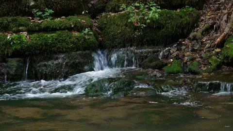 River Water Flowing Between Rocks and Grass Stock Footage 314696286