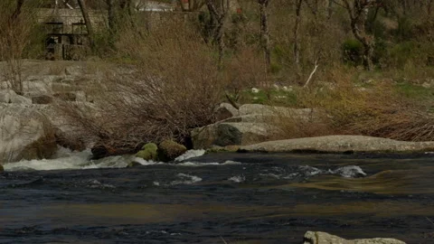 River water flowing between rocks with dry bushes and trees along the banks.. Stock Footage 335462886