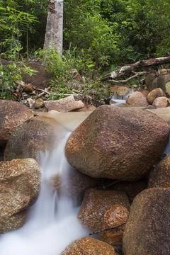 River water flowing between the rocks Stock Photos