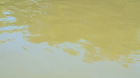 River water flowing calmly Stock Footage 319077182