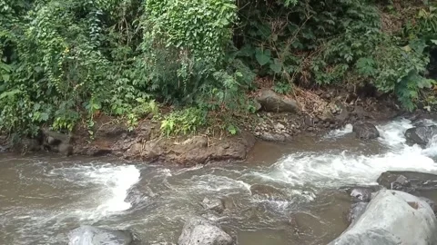 River water flowing fast in the mountains Stock Footage 218446080