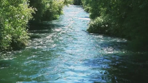 River water flowing Stock Footage 218062586