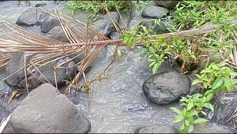 River water flowing Video stock 220606677