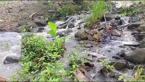 River water flowing Stock Footage 220606679