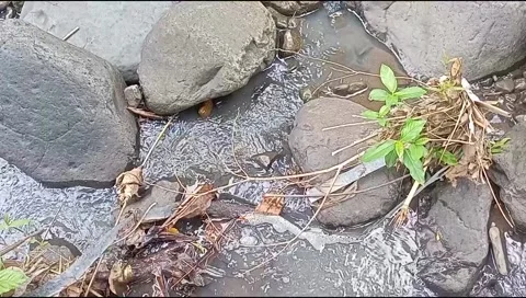 River water flowing Stock Footage 220606731