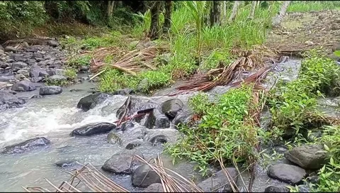 River water flowing Stock Footage 220606809