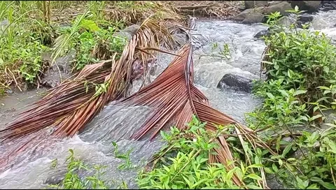 River water flowing 库存影片 220606865