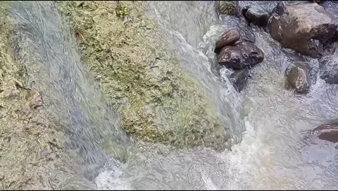 River water flowing Stock Footage 220606867