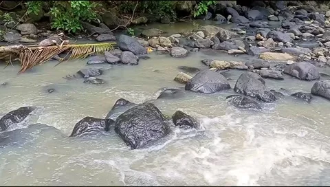 River water flowing Stock Footage 220607006