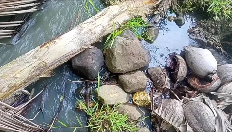 River water flowing Stock Footage 220607093