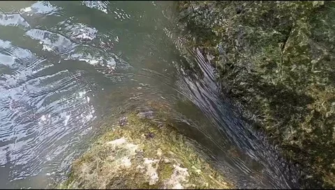 River water flowing Stock Footage 220607184