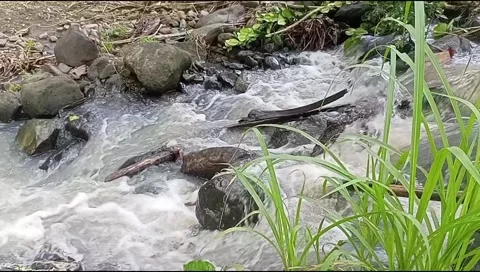 River water flowing Stock Footage 220607203