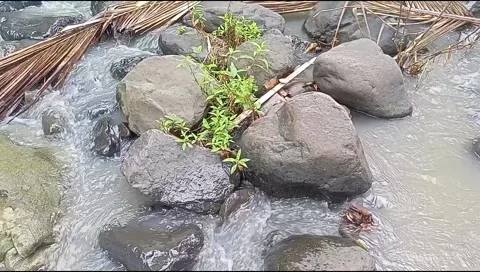 River water flowing Stock Footage 220607261