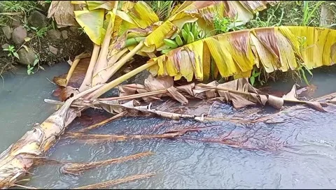 River water flowing Stock Footage 220607309