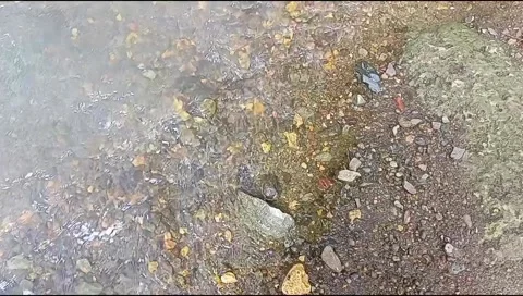 River water flowing Video stock 220607316