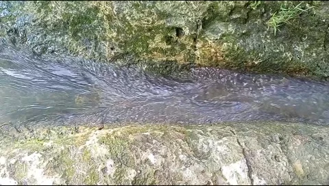 River water flowing Stock Footage 220607406