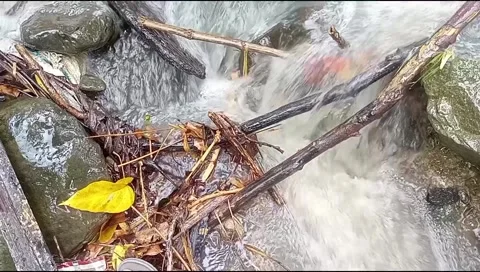 River water flowing Stock Footage 220607464