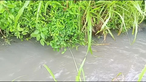 River water flowing Stock Footage 220607493