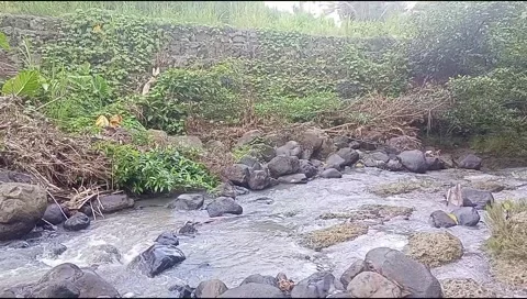 River water flowing Stock Footage 220607643
