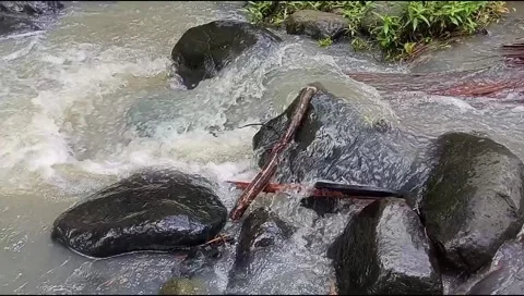 River water flowing Stock Footage 220607656