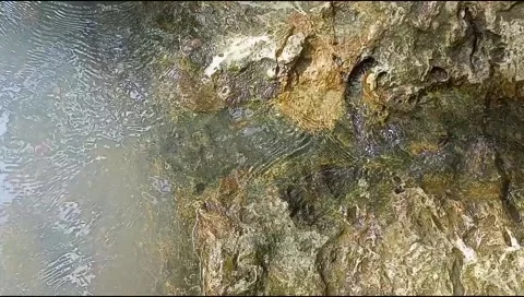 River water flowing Stock Footage 220607657
