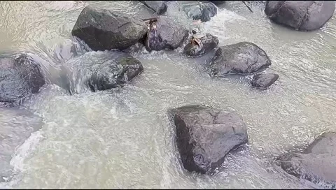 River water flowing Stock Footage 220607671