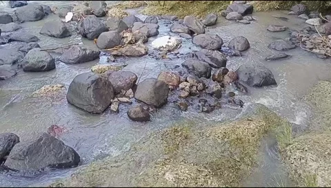 River water flowing Stock Footage 220607717