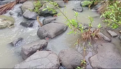 River water flowing Stock Footage 220607719