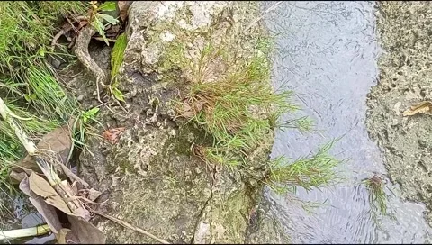 River water flowing Stock Footage 220607735