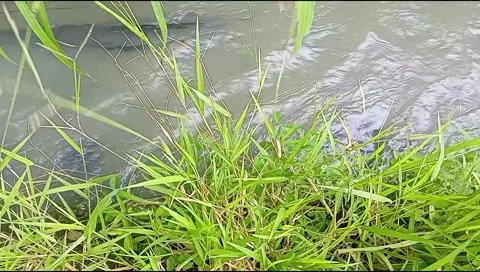 River water flowing Stock Footage 220607739