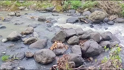 River water flowing Stock Footage 220607791