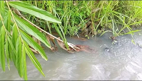 River water flowing Stock Footage 220607792