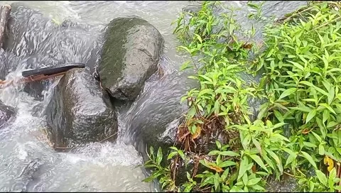 River water flowing Stock Footage 220607793