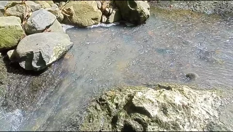 River water flowing Stock Footage 220607853