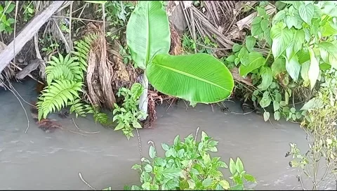 River water flowing Stock Footage 220607896