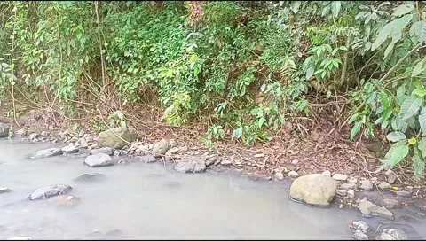 River water flowing Stock Footage 220608262