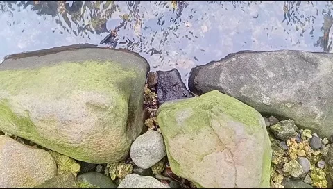 River water flowing Stock Footage 220608570