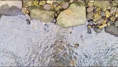 River water flowing Stock Footage 220608592