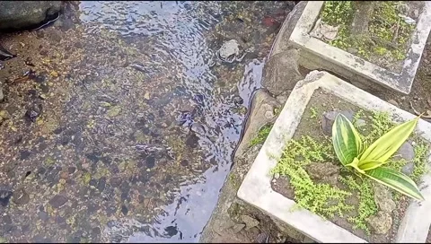 River water flowing Stock Footage 220608626