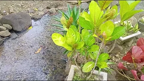 River water flowing Stock Footage 220608627