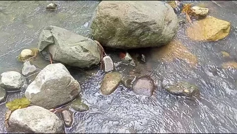 River water flowing Stock Footage 220609428
