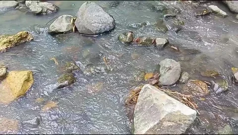 River water flowing Stock Footage 220609470