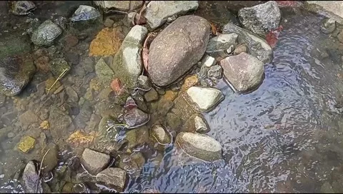 River water flowing Stock Footage 220609492